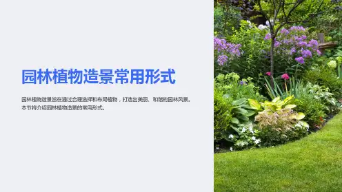 园林植物造景常用形式