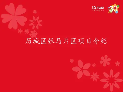 济南市历城区张马片区项目介绍