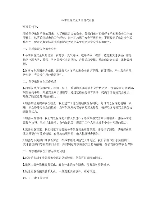 冬季旅游安全工作情况汇报