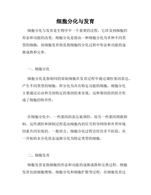 细胞分化与发育