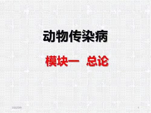 动物传染病的综合防制措施