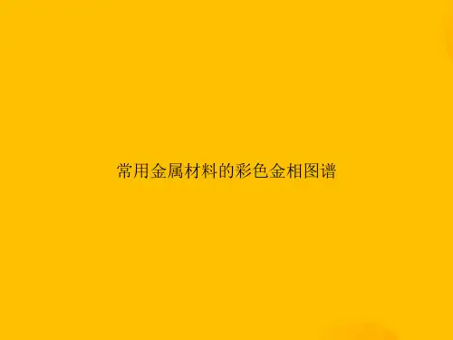 常用金属材料的彩色金相图谱