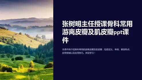 张树明主任授课骨科常用游离皮瓣及肌皮瓣课件