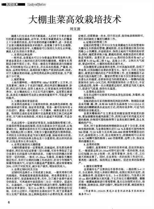 大棚韭菜高效栽培技术