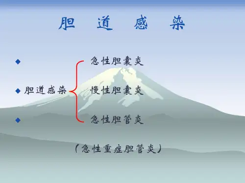 胆道感染
