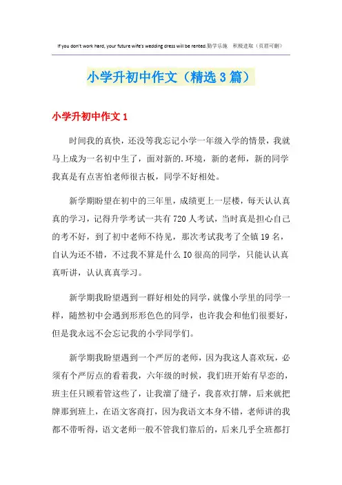 小学升初中作文(精选3篇)