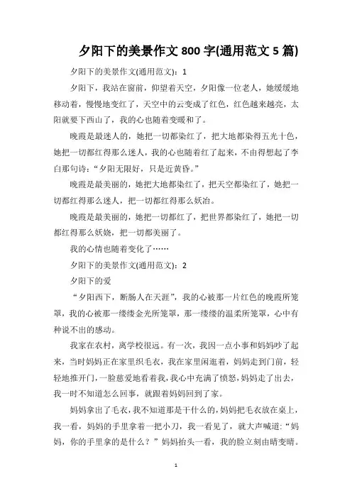 夕阳下的美景作文800字(通用范文5篇)