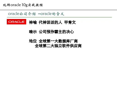 玩转Oracle 10g实战教程全套PPT_韩顺平详解