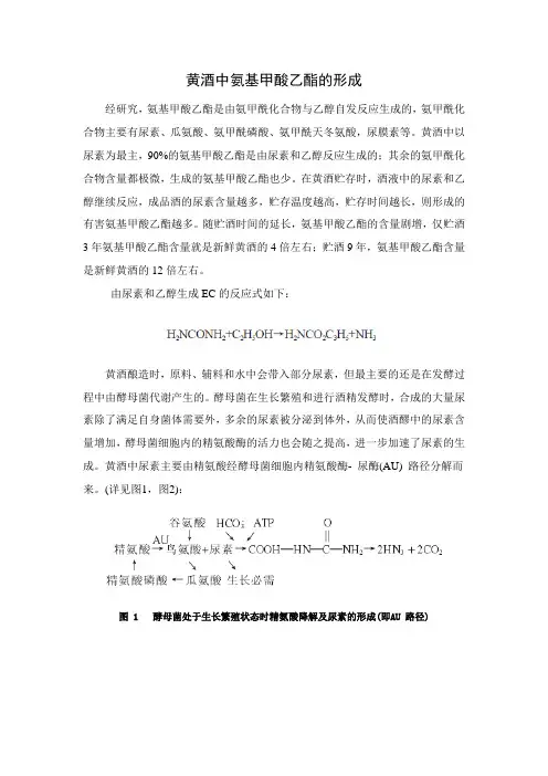 黄酒中氨基甲酸乙酯的形成机理