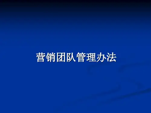 销售团队管理办法