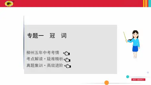 2021年外研版英语中考复习——专题二冠词