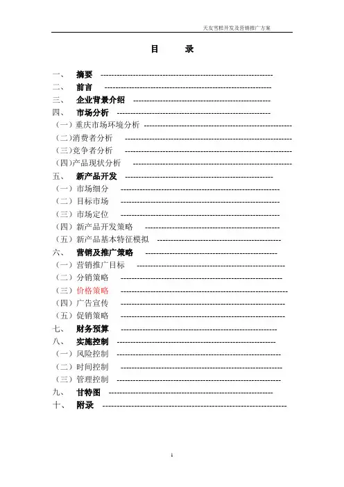 天友雪糕开发及营销推广方案