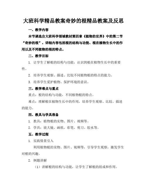 大班科学精品教案奇妙的根精品教案及反思