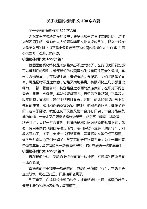 关于校园的杨树作文300字六篇