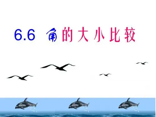 6.6角的大小比较(