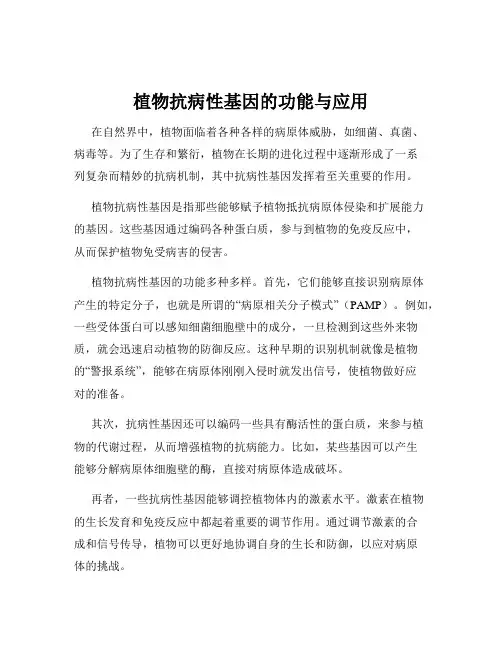 植物抗病性基因的功能与应用