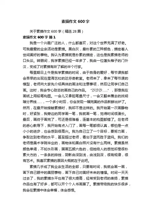关于素描作文600字（精选28篇）