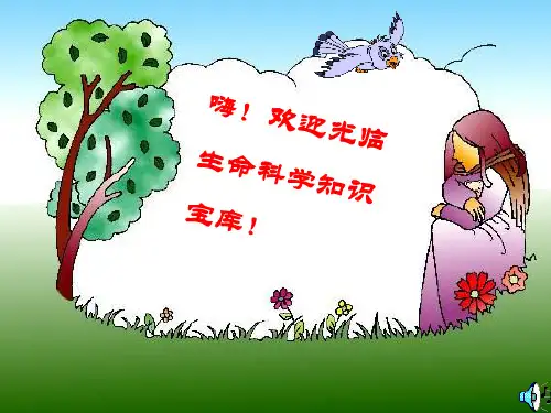 水中生活的动物ppt课件