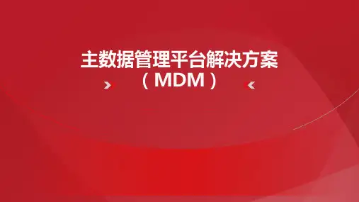主数据管理(MDM)平台解决方案