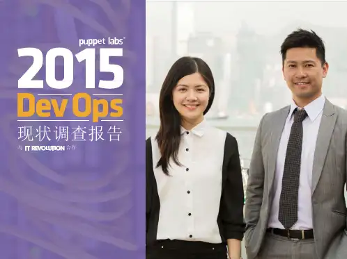 企业Devops现状调查报告