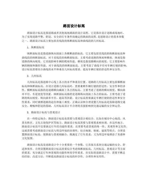 路面设计标高