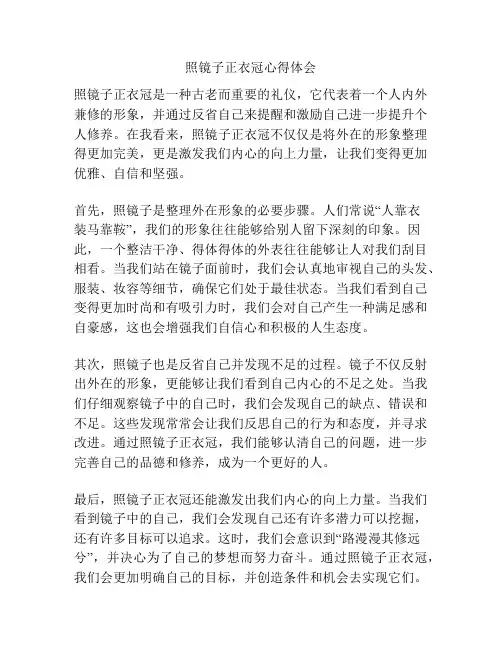 照镜子正衣冠心得体会