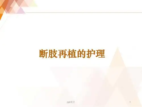 断指再植的护理  ppt课件