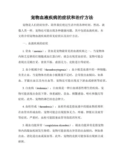 宠物血液疾病的症状和治疗方法