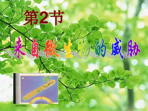 九年级科学下册 第3章 第2节 来自微生物的威胁课件浙教级下册自然科学课件