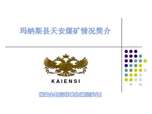 天安煤矿简介[0609]