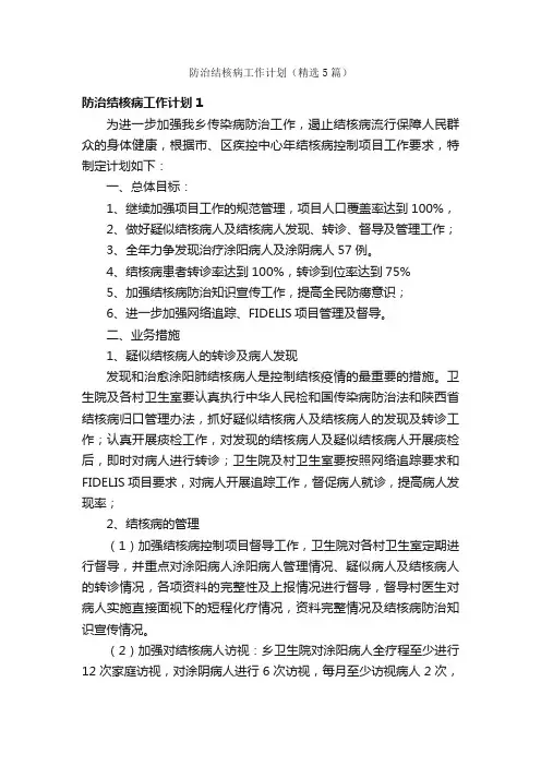 防治结核病工作计划（精选5篇）