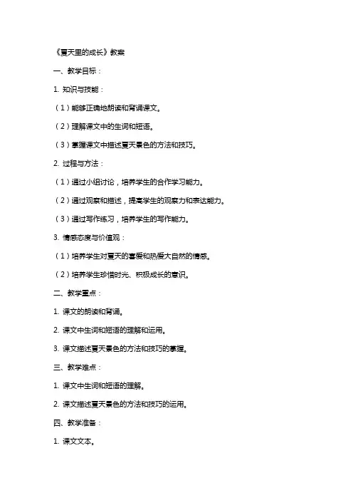 《夏天里的成长 》教案