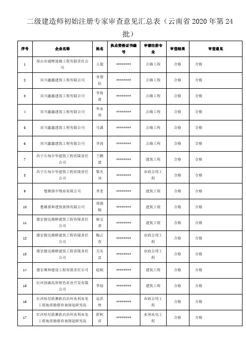 二级建造师初始注册专家审查意见汇总表【模板】