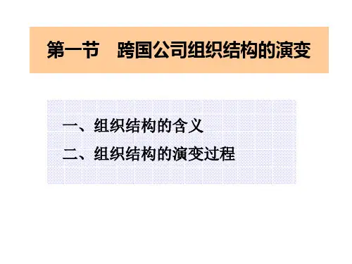 跨国公司组织结构ppt课件