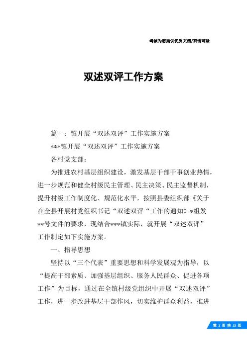 双述双评工作方案