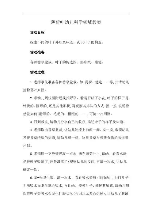 薄荷叶幼儿科学领域教案