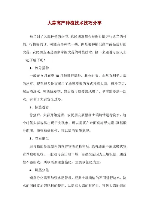 大蒜高产种植技术技巧分享