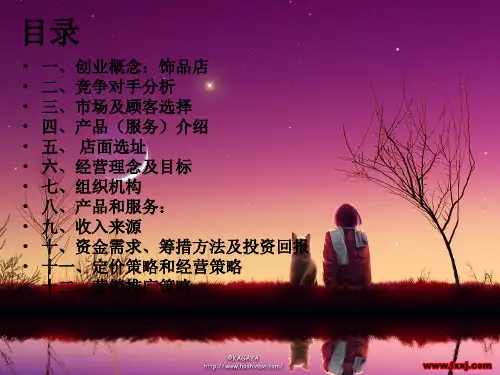 大学生创业计划书ppt