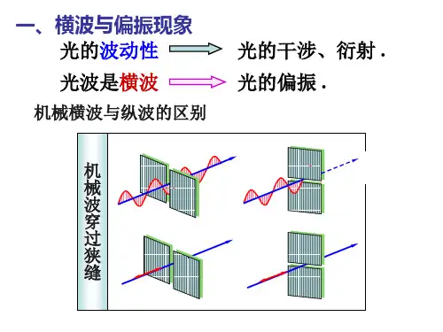 偏振原理及应用
