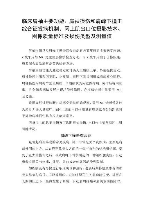 肩袖主要功能、肩袖损伤和肩峰下撞击综合征发病机制、冈上肌出口位摄影技术、图像质量标准及损伤类型及测量