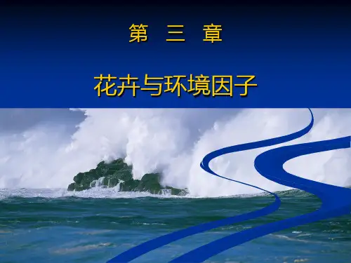 花卉学课件  第三章 花卉与环境因子