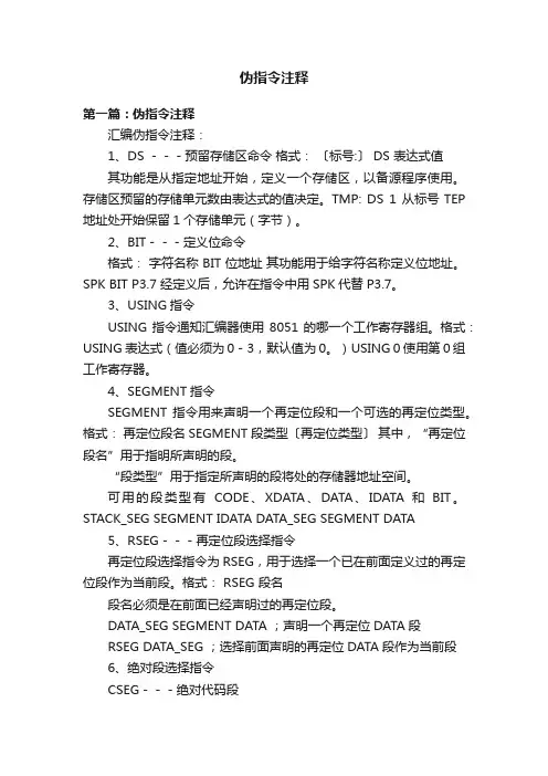 伪指令注释