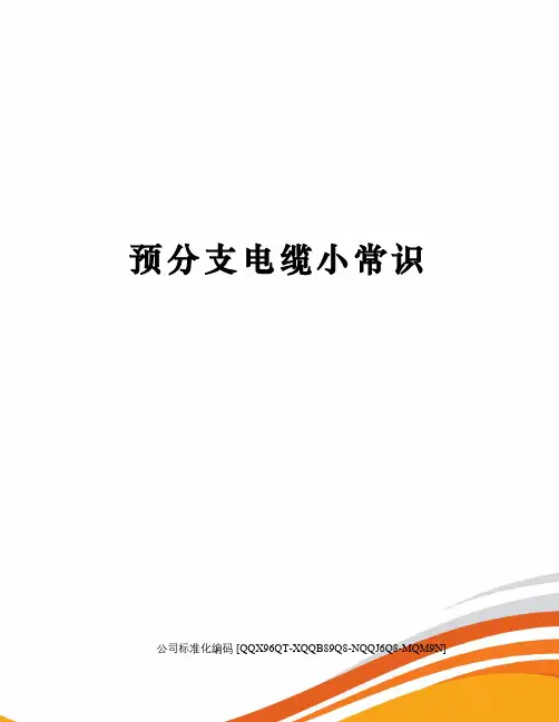 预分支电缆小常识修订稿