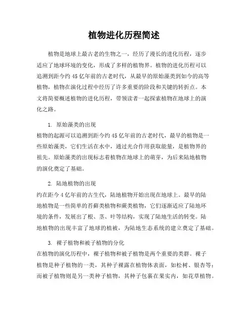 植物进化历程简述