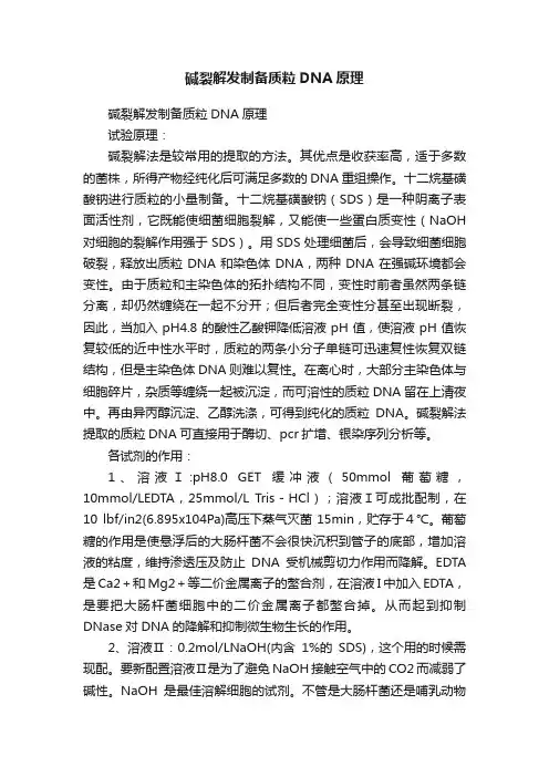 碱裂解发制备质粒DNA原理
