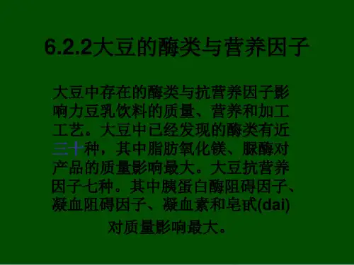 大豆的酶类和营养因子(ppt 18页)
