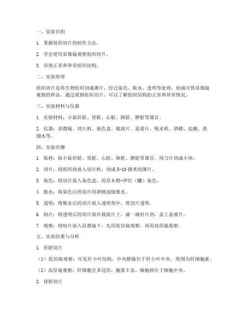 组织切片的观察实验报告