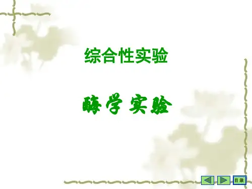 碱性磷酸酶分离纯化及比活性测定1
