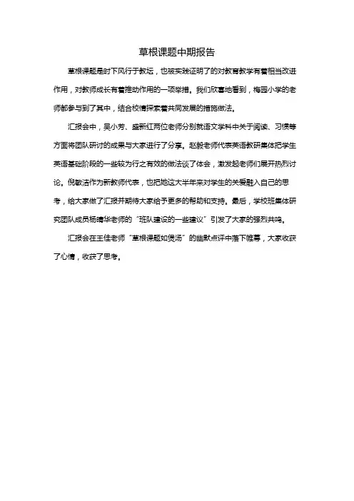 草根课题中期报告
