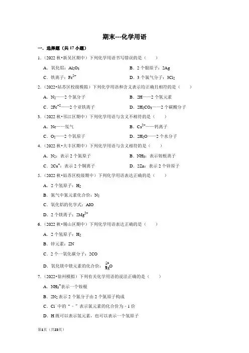 2022-2023学年上学期初中九年级上学期化学期末备考---化学用语